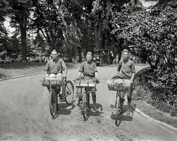 Photo showing: The Three Basketeers -- August 8, 1924. Stewart Shortt, John Ayers, Eliott Smith at White House.