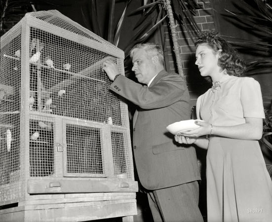 Photo showing: The Birds -- November 24, 1939. Washington, D.C. Mexican Ambassador Senor Dr. Don Francisco Castillo Najera and daughter Ermita.