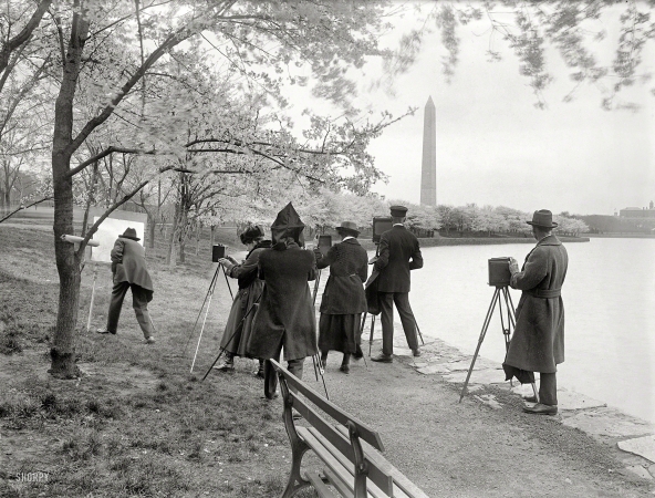Photo showing: When Cherry Met Chilly -- April 7, 1922. Washington, D.C. Photographers shooting cherry blossoms at Tidal Basin.