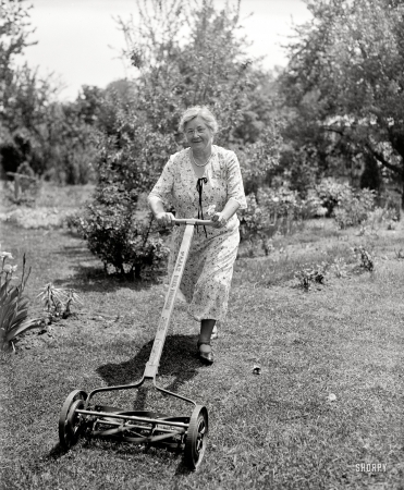 Photo showing: A Fistful of Daisies -- Circa 1920s. Possibly notable lady trims lawn in or around Washington, D.C., with Ajax Ball Bearing mower.