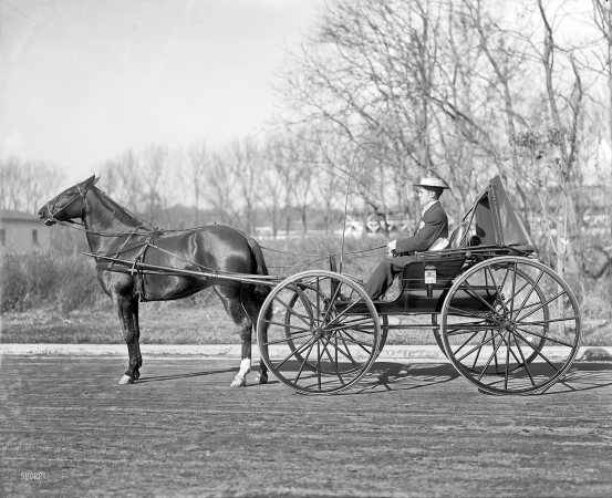 Photo showing: Horse and Buggy -- Washington, D.C., circa 1921. Brodt horse.