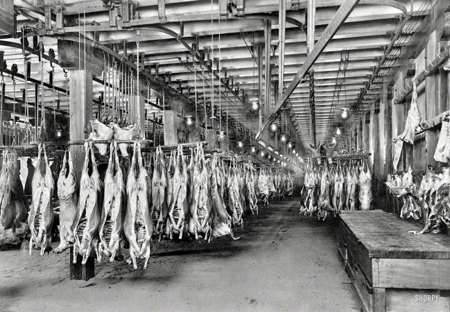 Photo showing: The Silence of ... -- Washington, D.C., circa 1923. Mutton in cold storage.