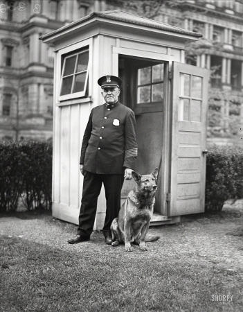Photo showing: King Tut -- April 12, 1929. King Tut, President Hoover's big German police dog, with W.S. Newton of the White House police.