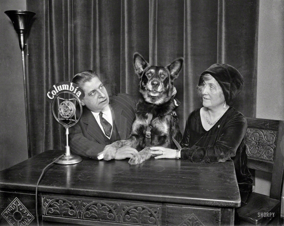 Photo showing: The Dog Show -- Circa 1930 Washington, D.C. Unidentified radio dog.