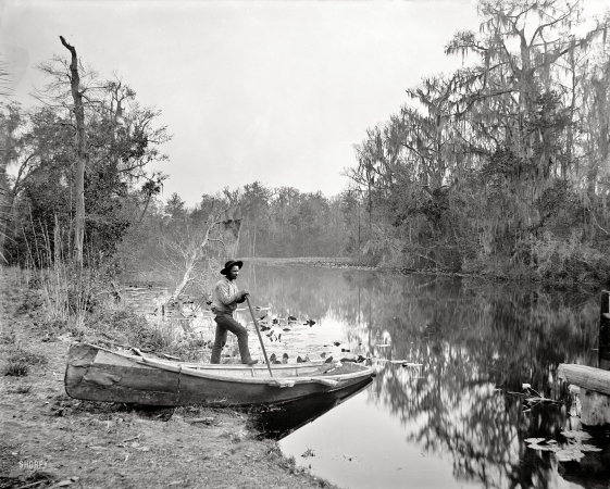 Photo showing: Rice Creek -- Putnam County, Florida, circa 1890s. Rice Creek near Brown's Landing.