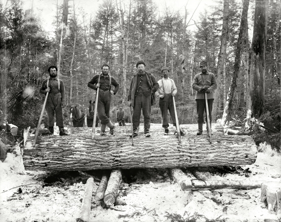 Photo showing: Tree Fellers -- The loggers. Upper Michigan circa 1899.