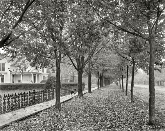Photo showing: Autumn Leaves -- Mount Clemens, Michigan, circa 1899. Gratiot Avenue and Church Street.