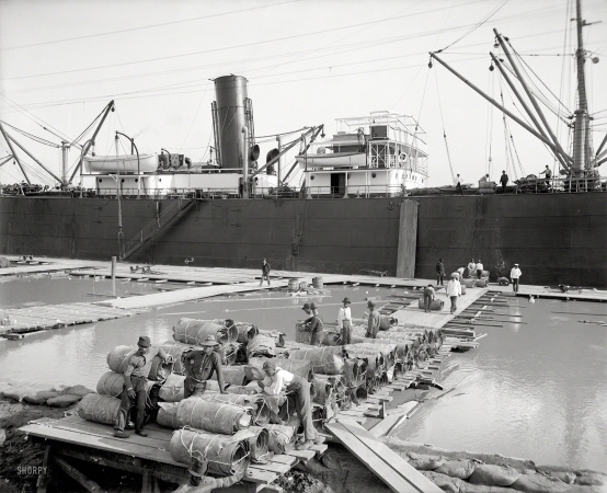 Photo showing: The Leather Boat -- New Orleans circa 1903. Steamer loading hides.