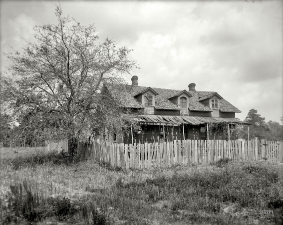 Photo showing: Old Homestead -- Jacksonville, Florida (vicinity), circa 1905.