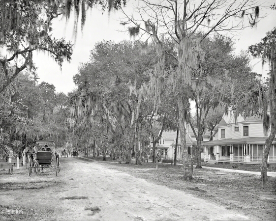 Photo showing: Ridgewood Avenue -- Circa 1904. Ridgewood Avenue, Daytona, Florida.