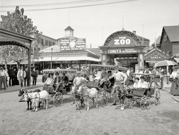 Photo showing: Moxie Kids -- New York circa 1904. The goat carriages, Coney Island.