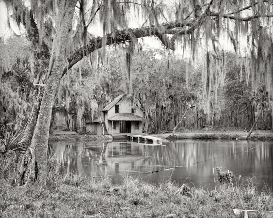 Photo showing: De Leon Springs -- Volusia County, Florida, circa 1904. De Leon Springs near DeLand.