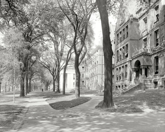 Photo showing: Ivy League -- Providence, Rhode Island, circa 1906. Front campus, Brown University.
