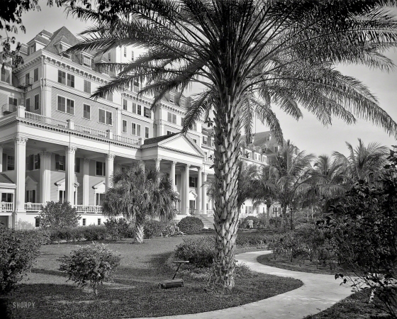 Photo showing: Poinciana Palms -- Palm Beach, Florida, in 1902. Royal Poinciana Hotel, entrance.