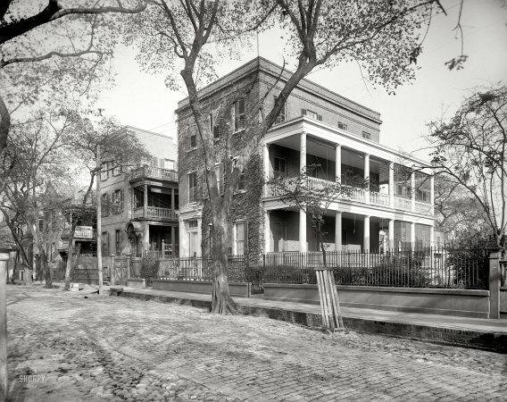 Photo showing: Charleston Residences -- Charleston, South Carolina, circa 1902. Residences on Hasell Street.