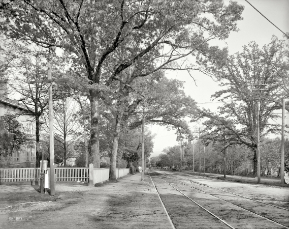 Photo showing: Augusta, Georgia -- Walton Way at Milledge Rd. circa 1905.