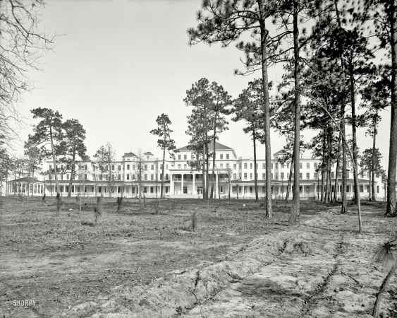 Photo showing: Park in the Pines -- Aiken, South Carolina, circa 1905.