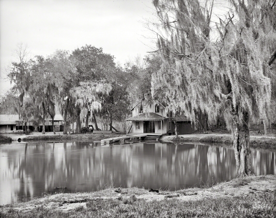 Photo showing: DeLeon Springs -- Florida circa 1904. DeLeon Springs near DeLand.