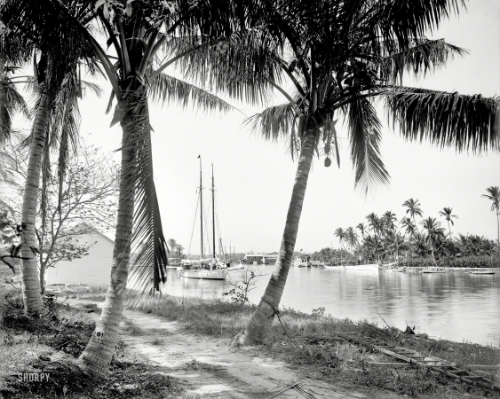 Photo showing: Miami River -- Miami, Florida, circa 1904. On the Miami River.