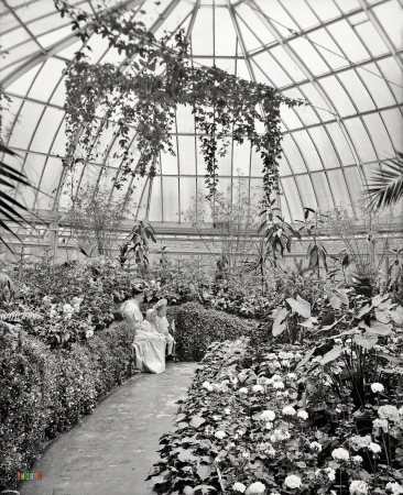 Photo showing: Grayscale Greenhouse -- Detroit circa 1907. Horticultural Building, Belle Isle Park.