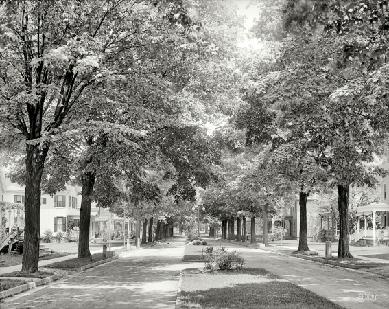 Photo showing: Tree-Lined Rochester -- Arnold Park, circa 1905.