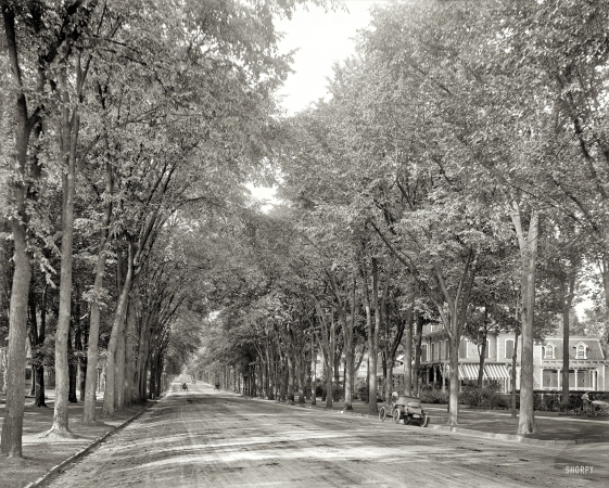 Photo showing: Under the Elms -- Circa 1908. North Broadway, Saratoga Springs, N.Y.
