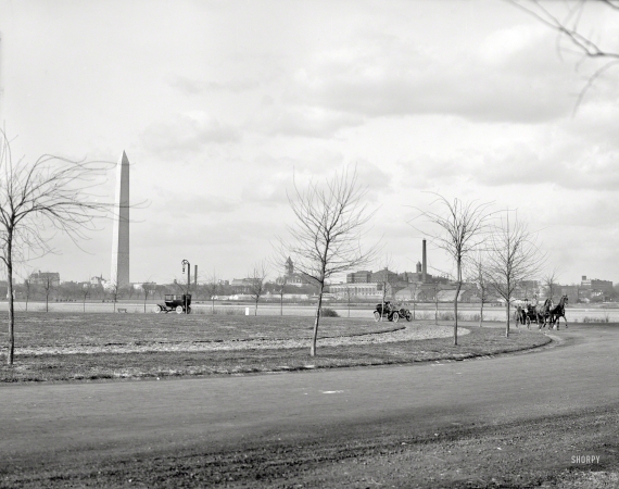 Photo showing: Potomac Park -- Circa 1908. The Boulevard, Potomac Park, Washington, D.C.
