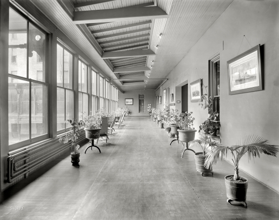 Photo showing: Potted Promenade -- Alma, Michigan, circa 1905. Alma Sanitarium, part of the sun parlor.