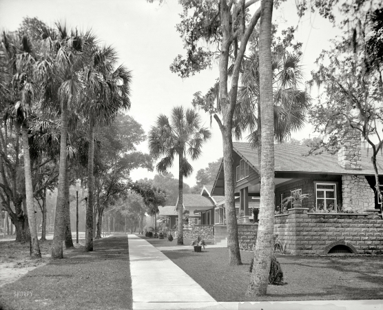Photo showing: Daytona Beach -- Daytona Beach, Florida, circa 1908. Bungalows on South Street.
