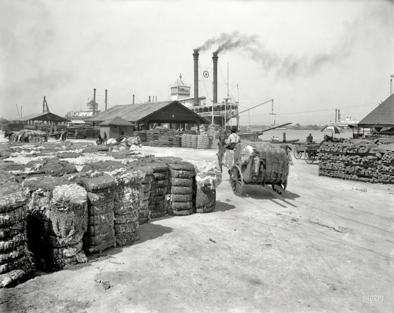 Photo showing: Great Bales of Fiber -- Alabama circa 1905. The cotton docks at Mobile.