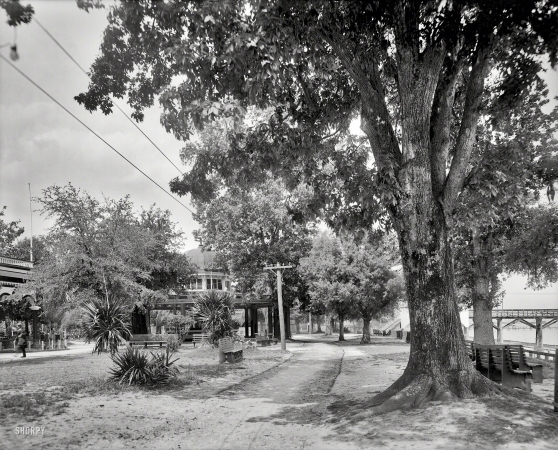 Photo showing: Monroe Park -- Mobile, Alabama, circa 1910. A pretty bit of Monroe Park -- bandstand and yacht club pier.
