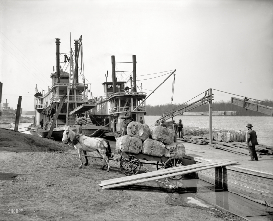 Photo showing: Cotton Bales -- Vicksburg, Mississippi, circa 1910. Unloading cotton at the levee. Sternwheel packet boat Mary Miller on the right.