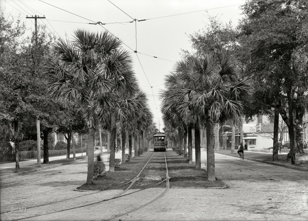 Photo showing: Jacksonville Streetcar -- Jacksonville, Florida, circa 1903. Main Street streetcar.