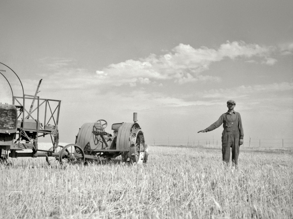 Photo showing: Big Picture, Little Ears -- July 1936. John Frederick of Grant County, North Dakota, shows how high his wheat would grow if there were no drought.