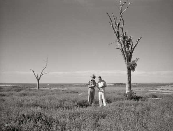 Photo showing: Texas Drought -- Summer 1936. President's Report. Dr. Tugwell and farmer of dust bowl area in Texas Panhandle.