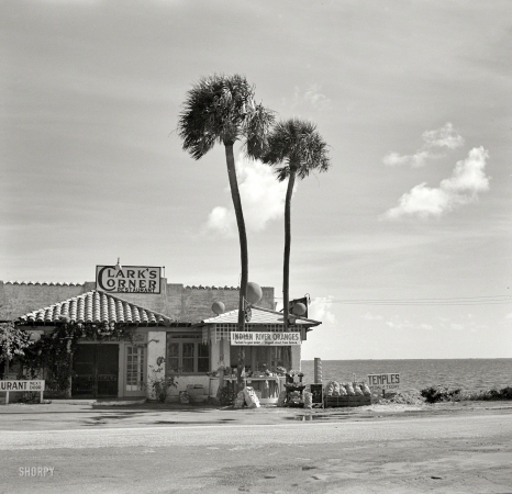 Photo showing: Clarks Corner -- January 1937. Brevard County, Florida. Roadstand near Cocoa.