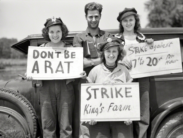 Photo showing: The Merry Strikers -- August 1938. Picket line at the King Farm strike near Morrisville, Pennsylvania.