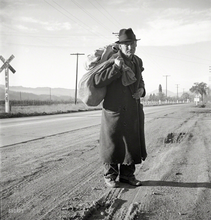 Photo showing: Veteran Hobo -- December 1938. Napa Valley, California. More than 25 years a bindlestiff. Walks from the mines to the lumber camps to
the farms. The type that formed the backbone of the Industrial Workers of the World in California before the war.