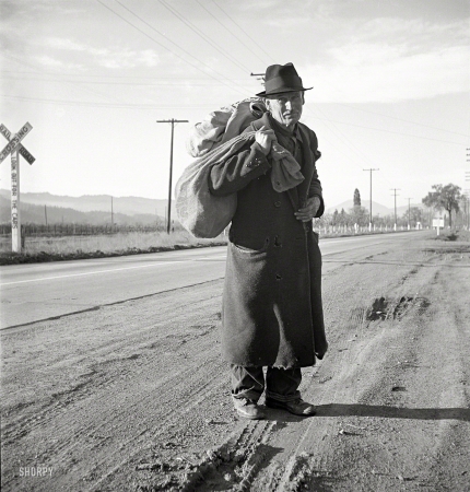 Photo showing: Veteran Hobo -- December 1938. Napa Valley, California. More than 25 years a bindlestiff. Walks from the mines to the lumber camps to
the farms. The type that formed the backbone of the Industrial Workers of the World in California before the war.