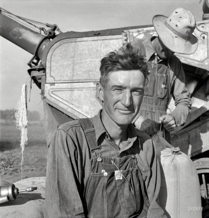 Photo showing: Transplant -- October 1939. Oklahoman, worked three years as farm laborer, starts next year on his own place. Quit school after third day.
Can neither read nor write. Is 'best farm laborer' this farmer ever had. Near Ontario, Malheur County, Oregon.