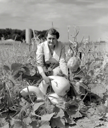 Photo showing: Baby Squash -- October 1939. Mrs. Calvin Brown, wife of Farm Security Administration borrower, with grandson in garden near Eaton, Colorado.
