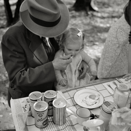 Photo showing: Berkshires Picnic -- October 1941. Mohawk Trail, Mass. State-owned camp and picnic site.