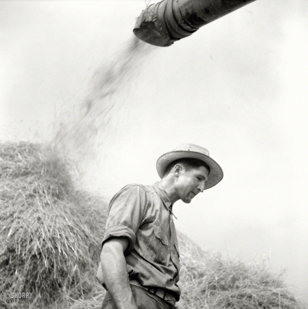Photo showing: Indian Summer -- Fall 1941. Jackson, Michigan. Soldier granted a furlough to help with harvesting on this farm.