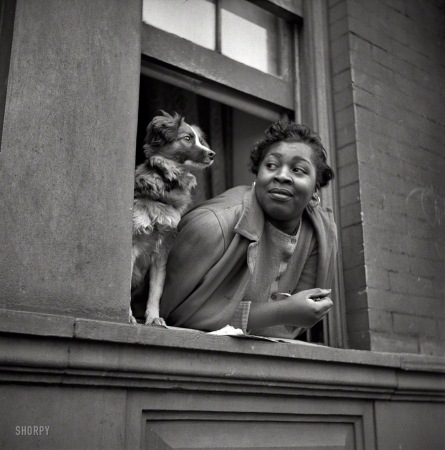 Photo showing: Bae Window -- New York, May 1943. A woman and her dog in the Harlem section.