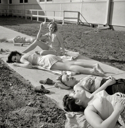 Photo showing: The Rites of Spring -- June 1943. Arlington County, Va. Arlington Farms, war duration
residence halls. Sunbathers on the sidewalk in the back of Idaho Hall. 