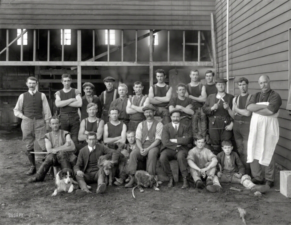 Photo showing: Looking Sharp -- 1914. Whanganui, New Zealand. Employees of Thomas Mitchell Ltd., Butchers.