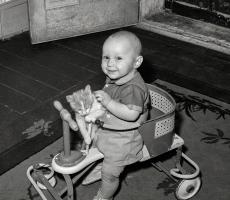 Cats :: Framed / Poster Art / Vintage Photos
